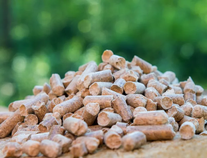 Holzpellets auf einem Baumstumpf in einem Wald. 